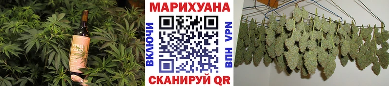 Cannafood конопля  закладка  Тогучин 