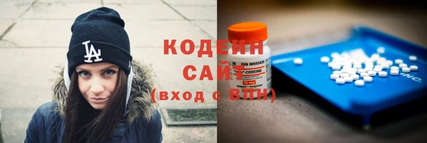 прущие грибы Армянск