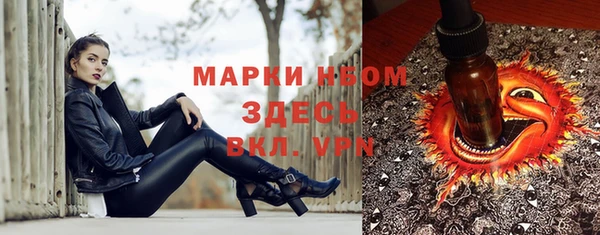 индика Алзамай