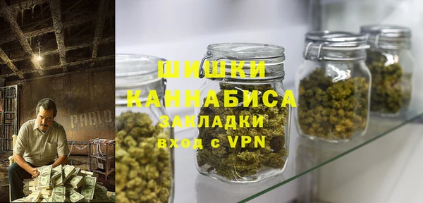 прущие грибы Армянск